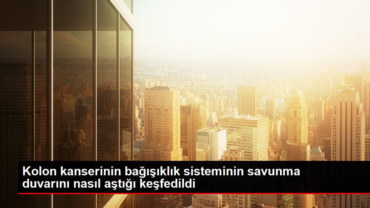 Kolon kanserinin bağışıklık sistemini nasıl kör ettiği ortaya konuldu